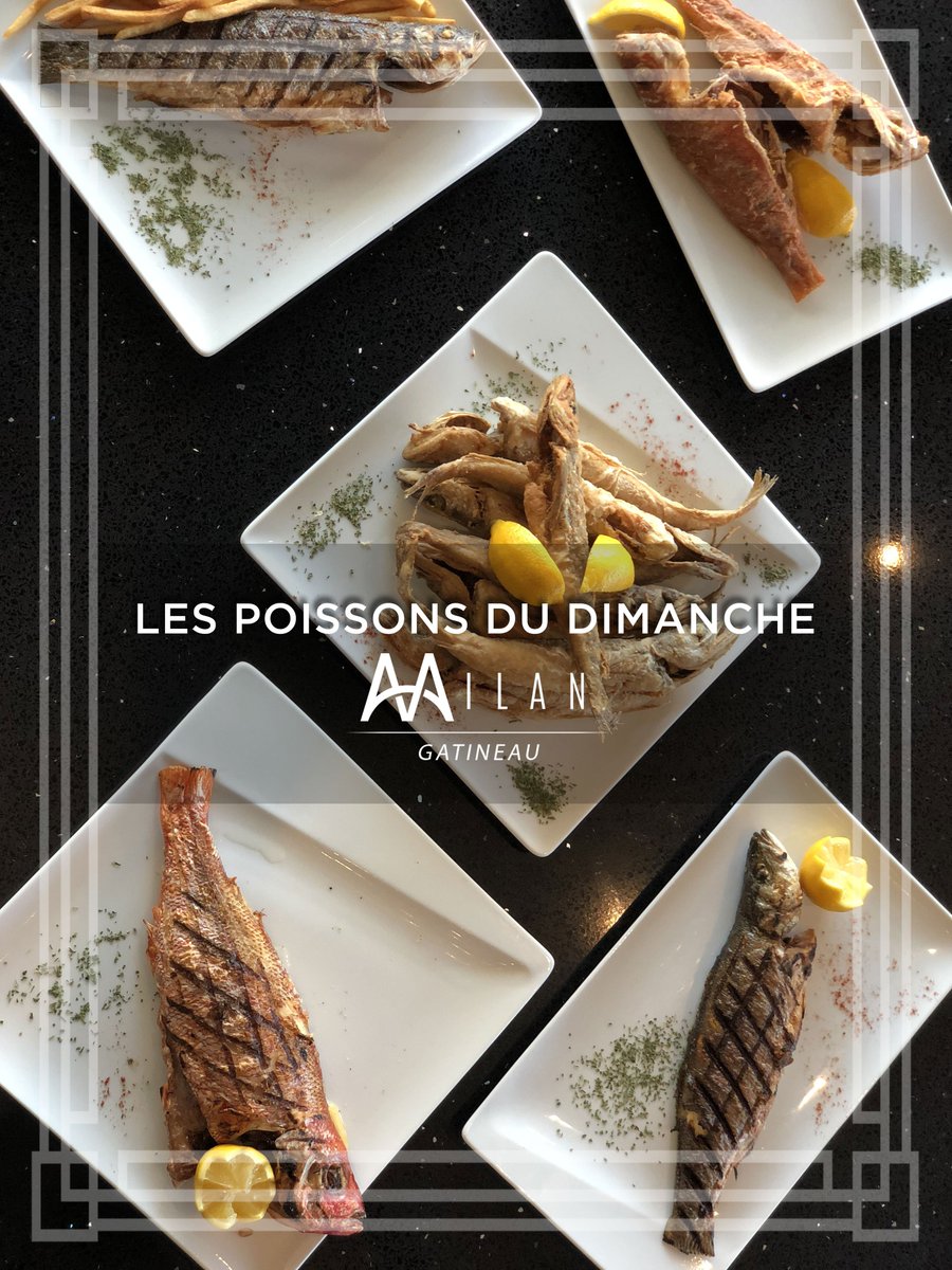 MilanGatineau's tweet photo. Aujourd'hui nous avons les poissons du dimanche 🍽️ 
Today is Fish Sunday 🍽️ https://t.co/JtorQRzj5j