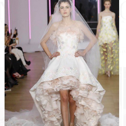 TheWeddingCat's tweet photo. New #weddingdressporn on the blog now! (Link: @theweddingcat ). Check out 10 Bridal Moments from Paris Haute Couture Fashion Week to see the stunners! 🙌🏼 ✨ 🌟 
#detroitweddings #weddingplanning #weddinginspo #detroit #sayido #tietheknot #jumpthebroom … https://t.co/4nPOo4WU38 https://t.co/nZGtuN8brc
