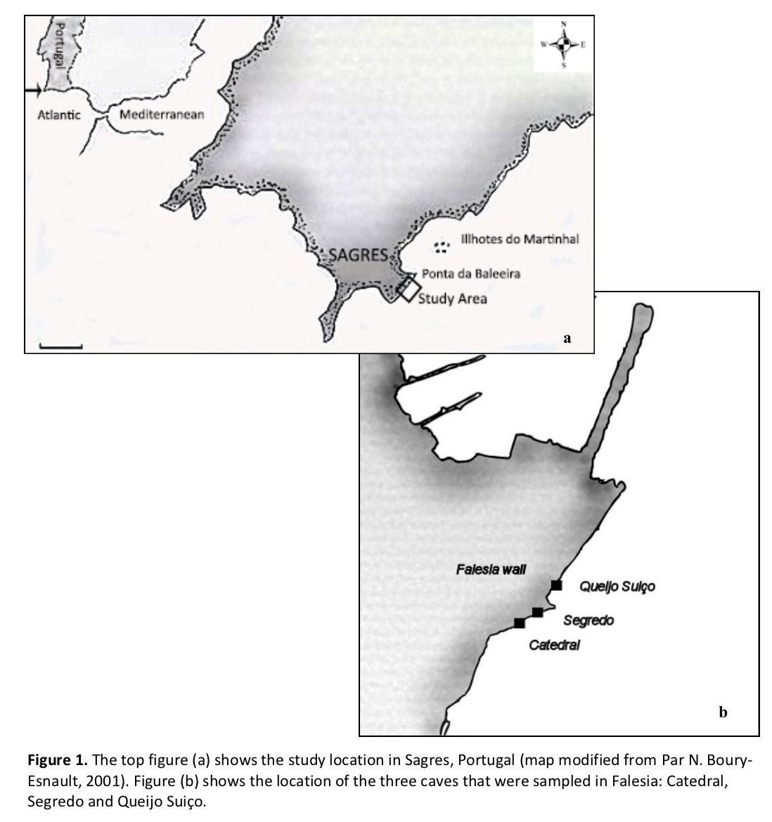 Best Dive Sites: Segredo, Sagres, Portugal
diveglobal.com/divesite/segre… via <a href="/dive_global/">Dive Global</a> #Segredo  #Sagres #Portugal #mergulho #mergulhador #cupcoral #coral #cave #cavern #cavediving #dive #diving #scuba #bestdivesite #divesite