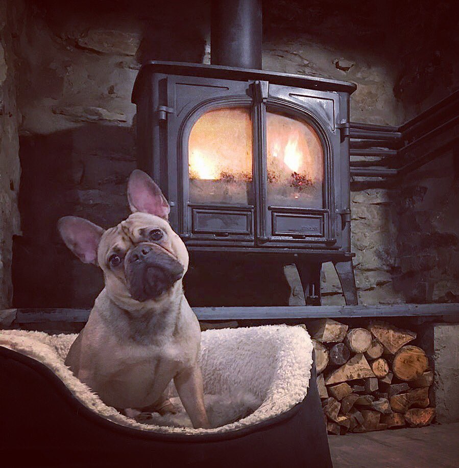 griffithsjones_'s tweet photo. What #Sundays are all about #woodburner #stovax #cosy #frenchbulldog #fire https://t.co/E2ZUvbC84E