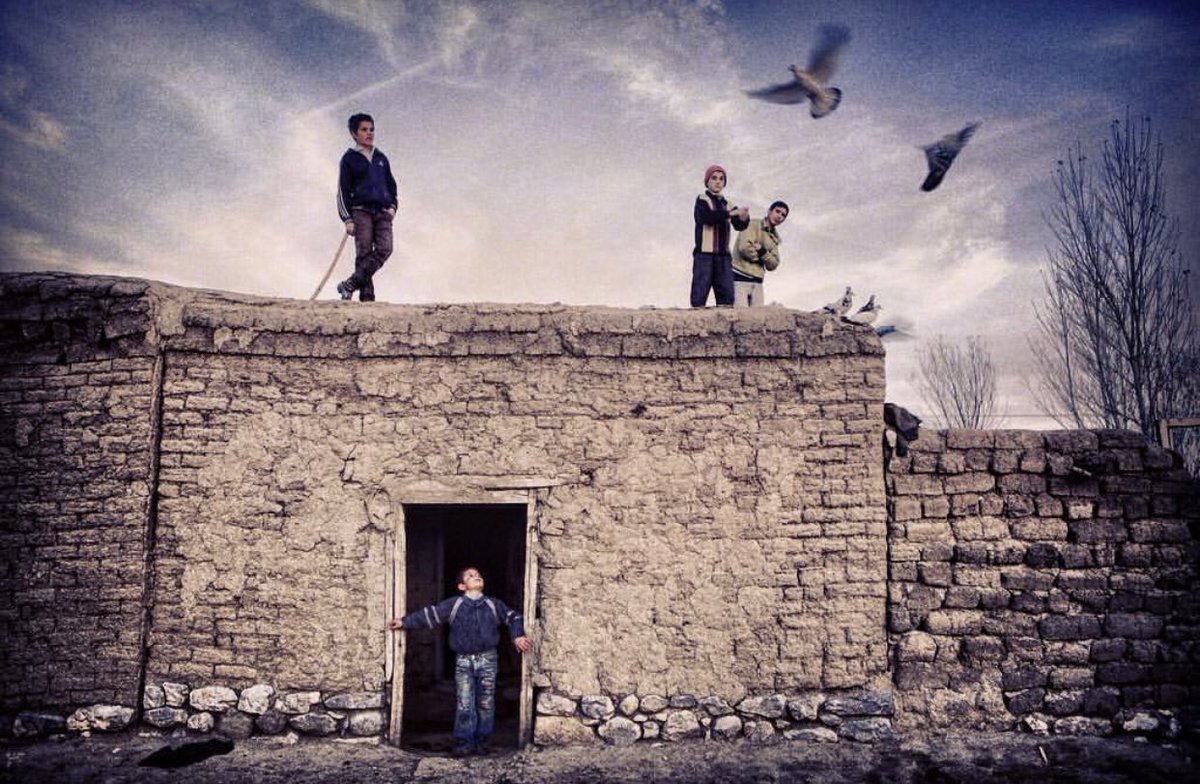 Van ilimiz, Doğu Ve Güneydoğu illerimizin çoğunda olduğu gibi köklü bir güvercin kültürüne sahiptir. Van’da evcil güvercinler için "ev kuşu" adlandırması kullanılır.
Fotoğraf:NADİR BUCAN