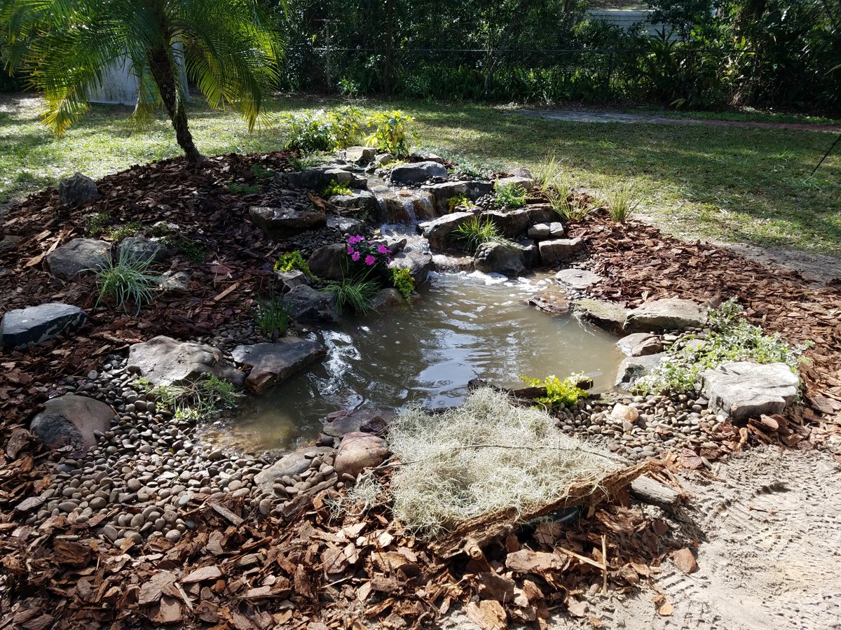 Tropical Water Gardens along with Greg Wittstock and team build an ecosystem pond in Deland Florida for Jennie Lynx of Solid Gold Aquatics. 
Video explains each step as it is being built to give you an in-depth look at how an ecosystem pond works. youtu.be/nUDX6OCXEyc
