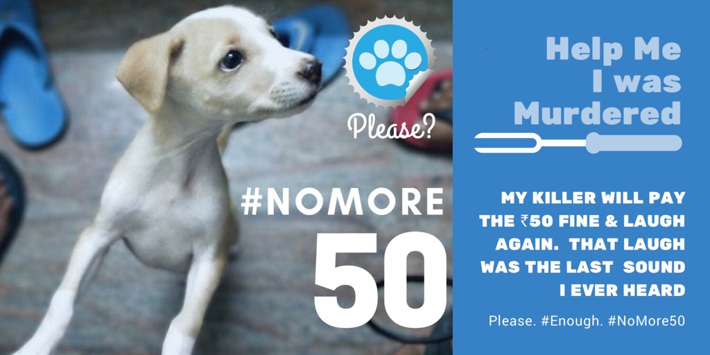 priyachettyr's tweet photo. How is that #NehaSingh whose car deliberately ran over #CommunityDog Kutush at #Haralur &amp; drove away, is still at large? Most #bonesbroken. Deed &amp; #license plate on #CCTV. https://t.co/OsCK6aH83N #NoMore50 @goyal_abhei @CPBlr make an example-you must  punish this cowardly cruelty https://t.co/psuM9kp2TE