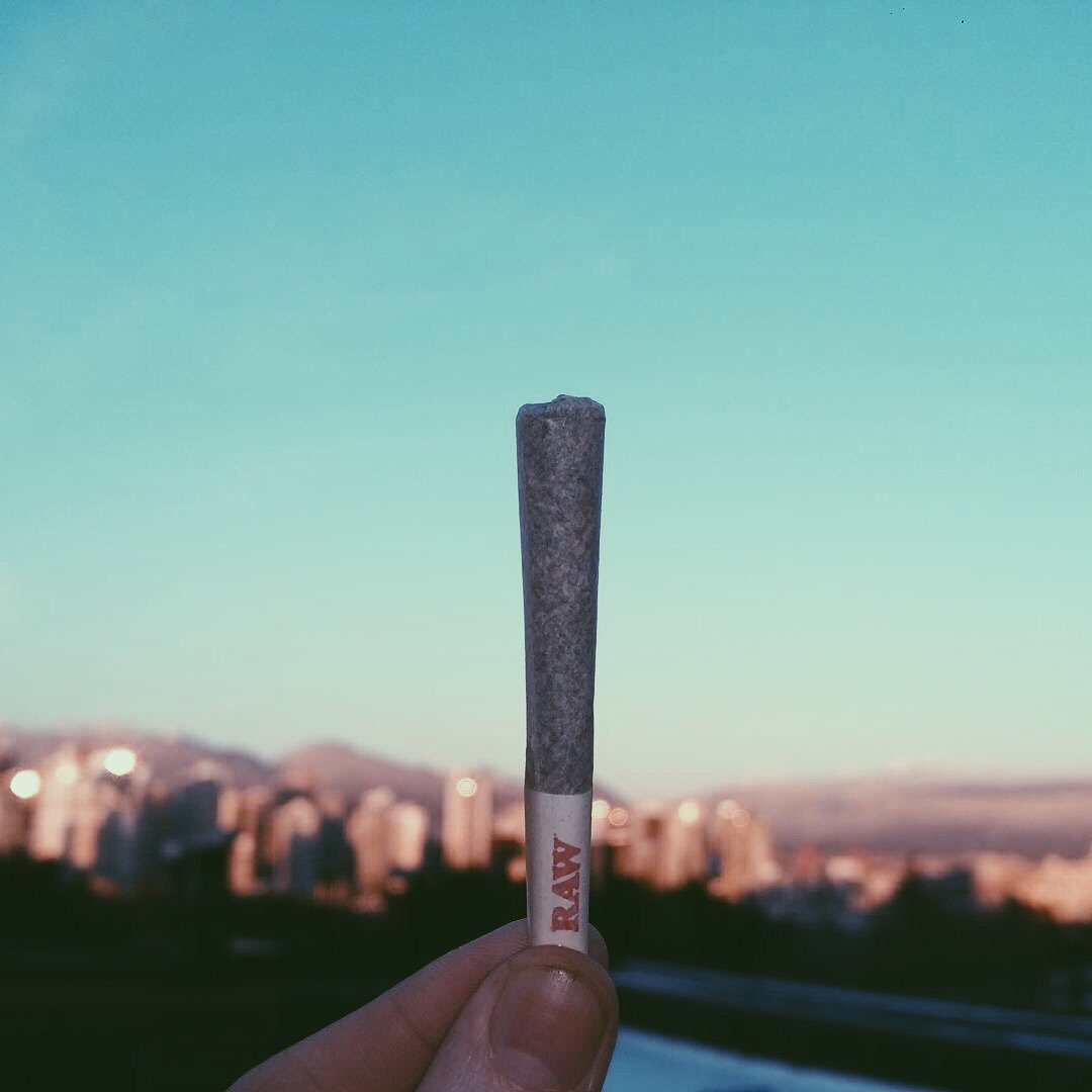 weedmapsca's tweet photo. Smoking with the skyline #HighVancouver https://t.co/NjXhAK8MFF