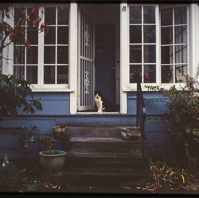 catmapper's tweet image. One of these streets without a sidewalk in outer SE. Provia slide film. Been shooting 35mm slides because I scored an old made in Portland Minolta slide projector and Citizens does slide mounting for $1. #catmapper ift.tt/2Gomsx8