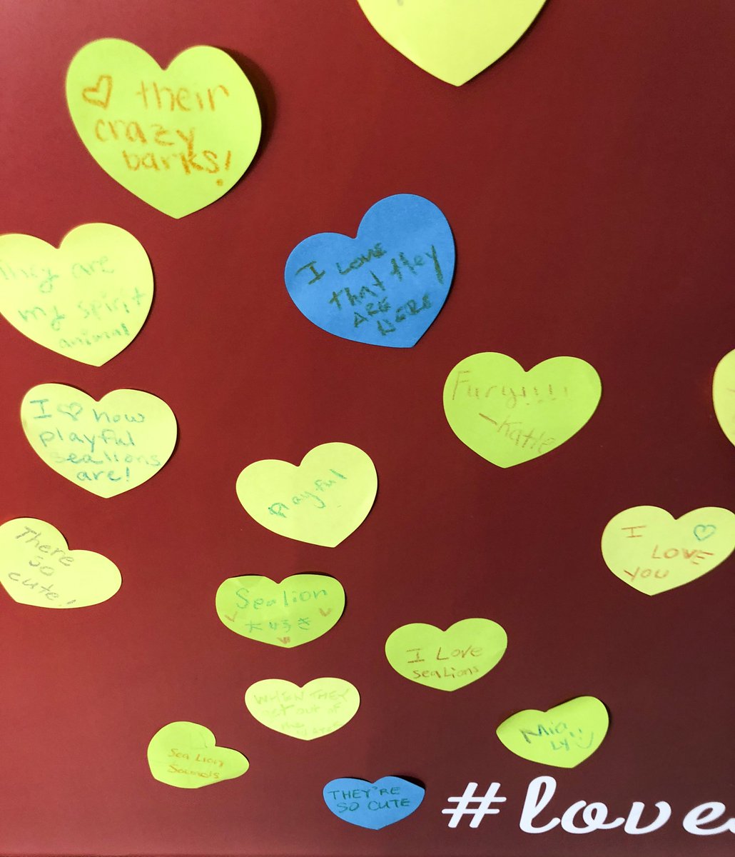 SeaLionCenter's tweet photo. Share with the world why you love sea lions at the Love Wall at the Sea Lion Center at PIER 39!
#lovesealions

photo credits: Sydney Minges https://t.co/BAlINL7gm3