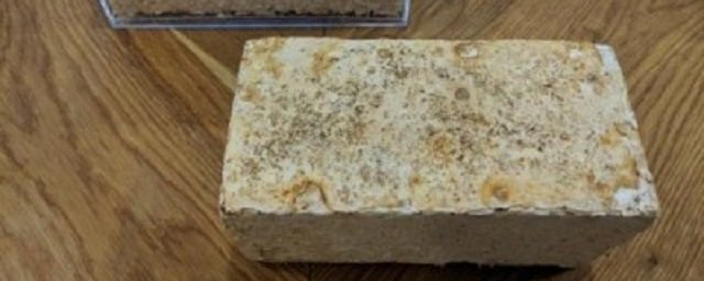 runews24ru's tweet image. Архитектор предложил перерабатывать старые дома с помощью грибов
#старыедома

runews24.ru/science/29/01/…