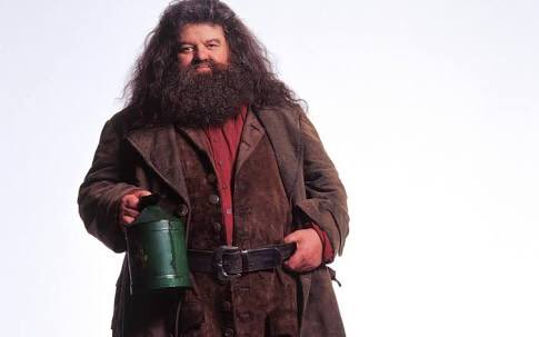 Şey değil mi bu Hagrid ? <a href="/rihanna/">Rihanna</a> #grammys