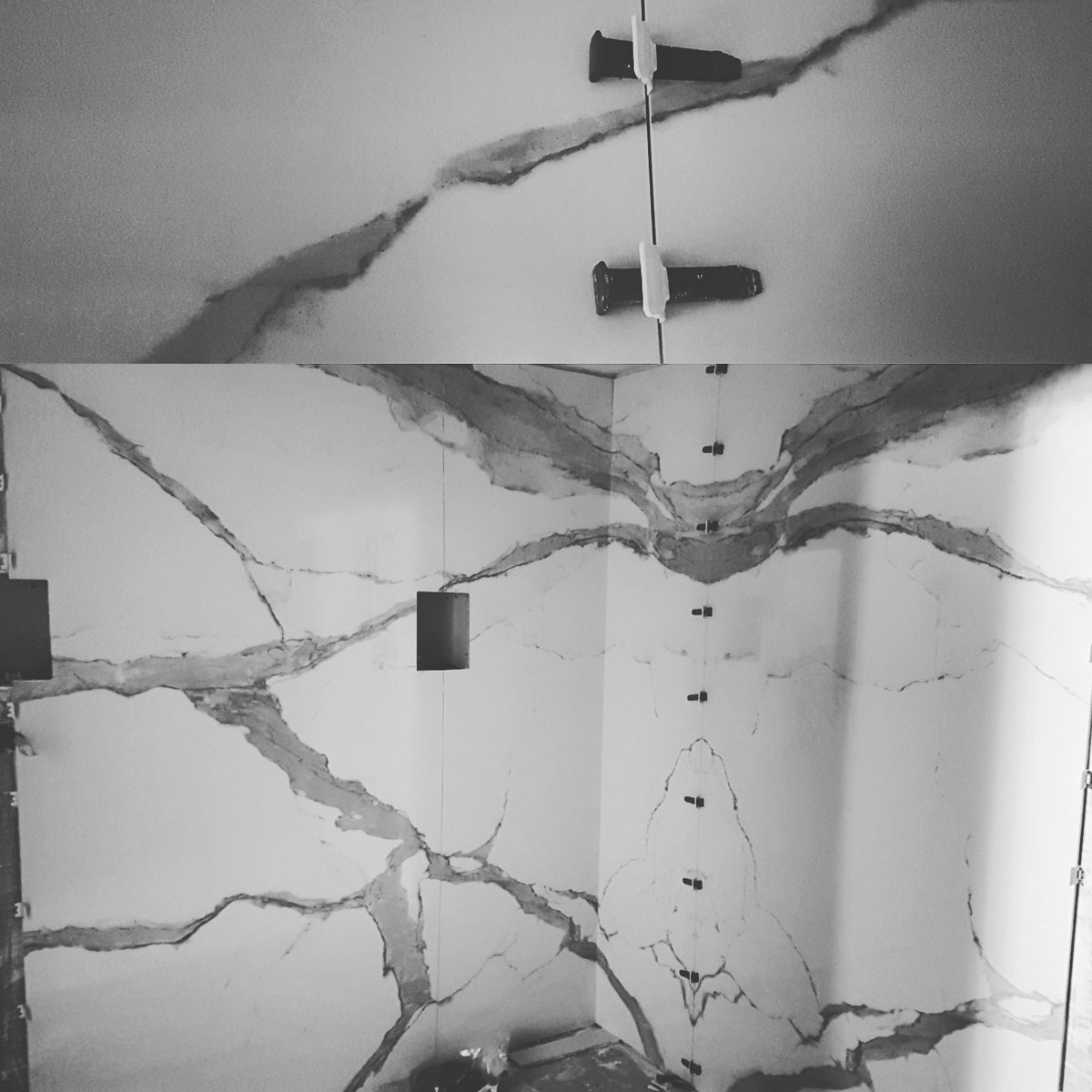 Perfect Level Master (@prfct_lvl_mstr) on Twitter photo 