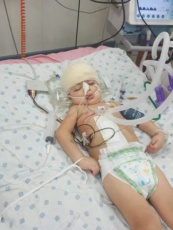 View image on Twitter