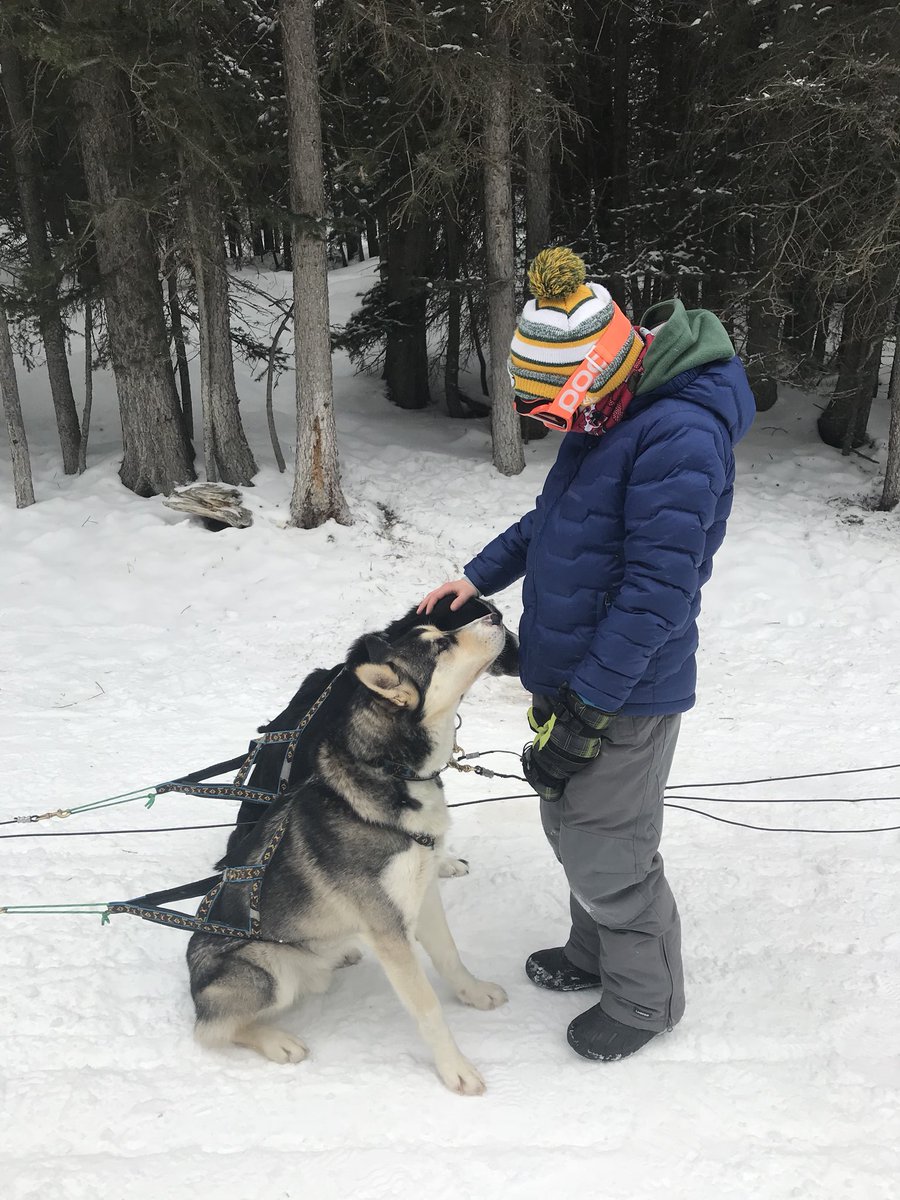 OE dog sledding trip <a href="/RCElementary/">Rundle Elementary</a> #WeAreRundle