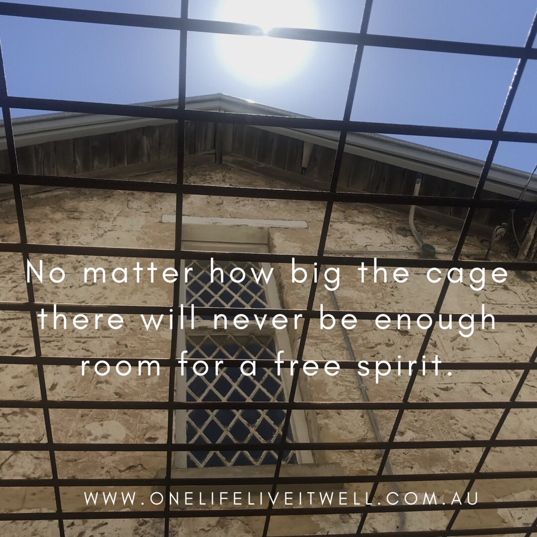 1lifeliveitwell's tweet photo. No matter how big the cage there will never be enough room for a free spirit. #travel #wanderlust #freespirit #onelifeliveitwell https://t.co/33enKphunw