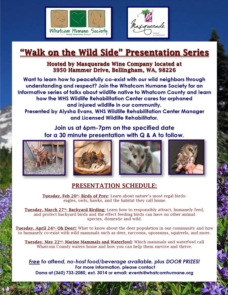 Whatcom Humane Soc On Twitter