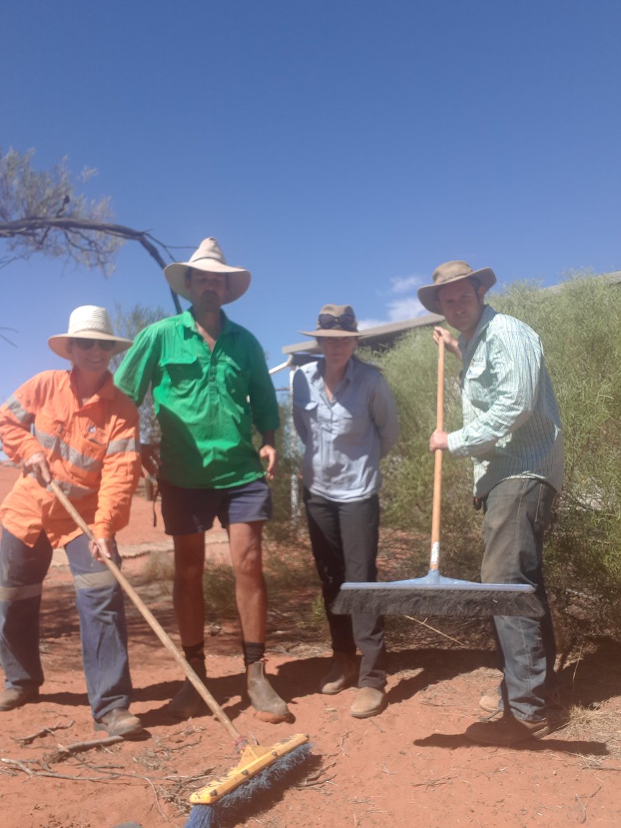 14km of track monitoring transect swept by hand by awesome team at Arid Recovery. Who needs an ATV......