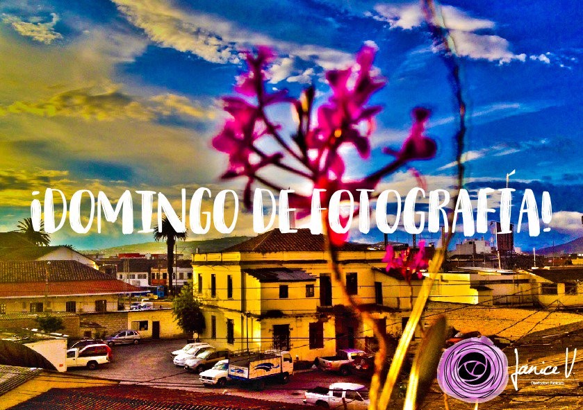 Janice_Itamar's tweet photo. ¡Hoy Domingo de fotografía, no te lo puedes perder! 
 Y esto empieza en 🤟✌️☝️
#PBDYP #Publicidad   #Ecuador #Ibarra https://t.co/Ao2wufVJNc