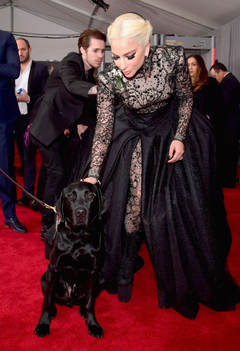 LeenaBaddie's tweet photo. Lady Gaga llegando junto a Sirius Black a los #GRAMMYs https://t.co/hd5Ky6YCzC