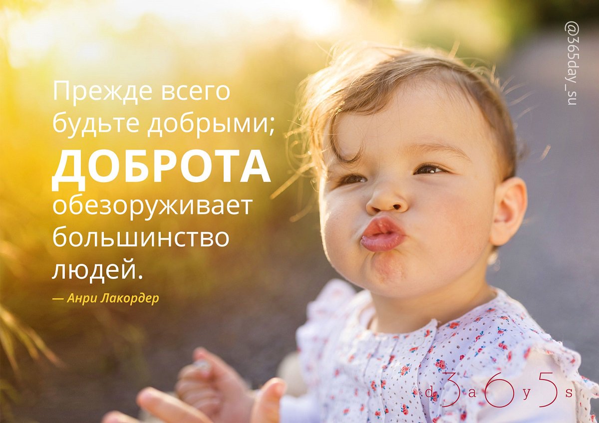 Пони, картинки цитаты