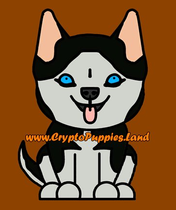 iPuppiesLand's tweet photo. Meet our Husky IPB! 

#CryptoPuppiesLand, #CryptoPuppies, #CryptoKitties https://t.co/GFVp5Zbb8R