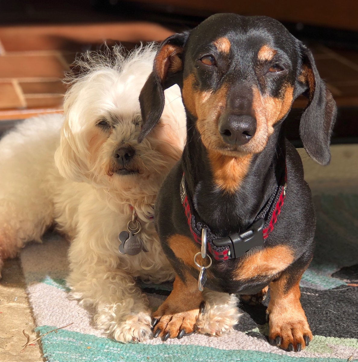 Battling Jelly for the sun ☀️