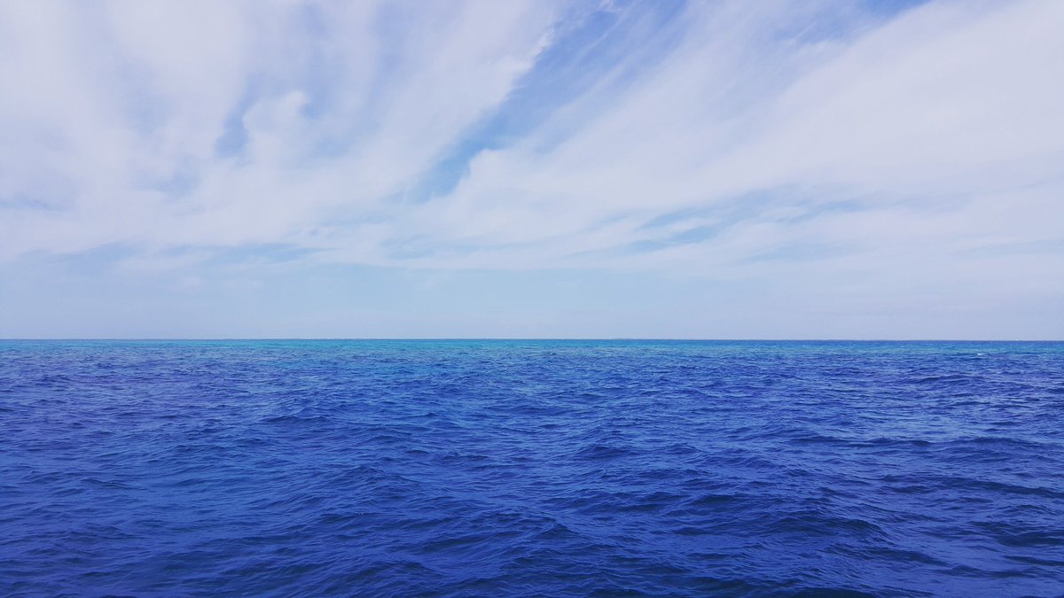tamikajbrussell's tweet photo. I already miss the ocean... #looekeyreef https://t.co/OmfFnj7Hx6