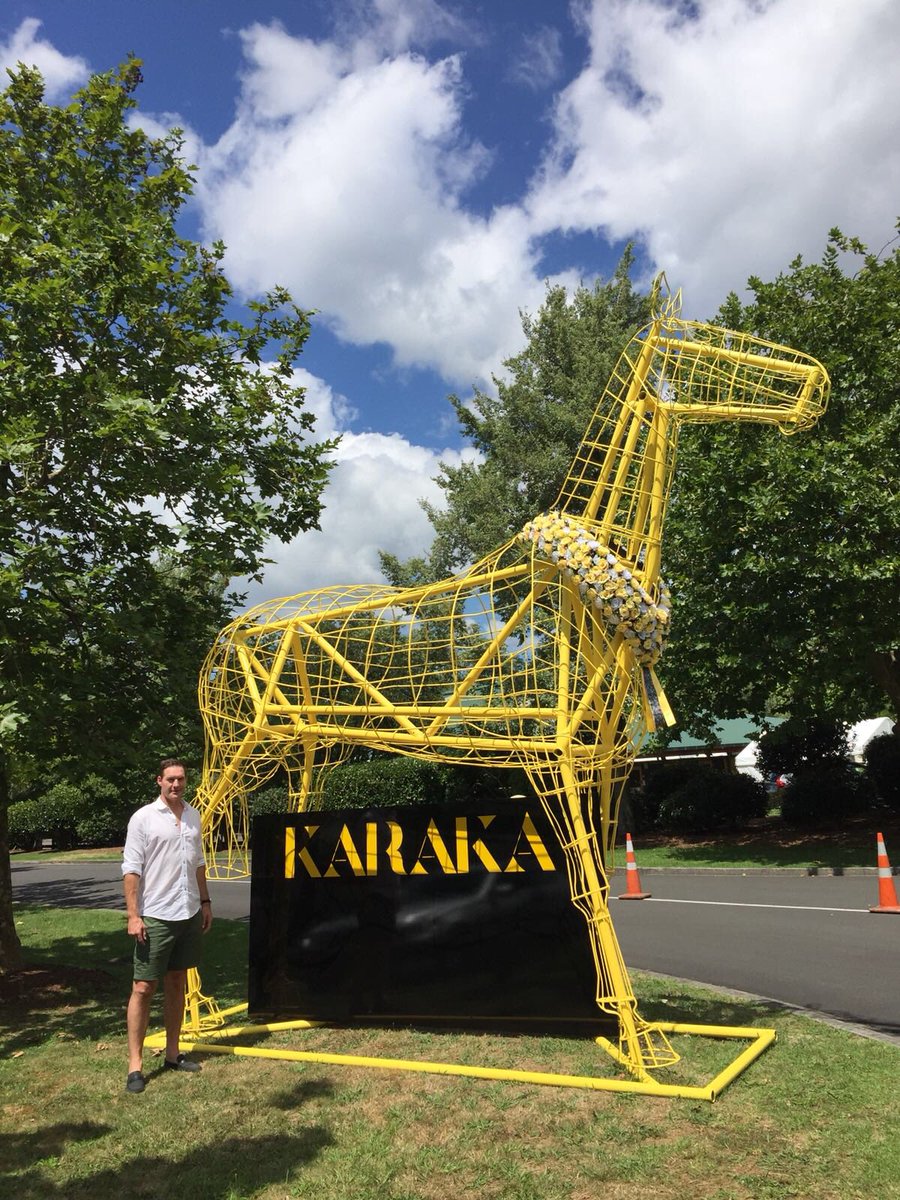 Great day at <a href="/karakachat/">New Zealand Bloodstock</a> #gottobeintowin