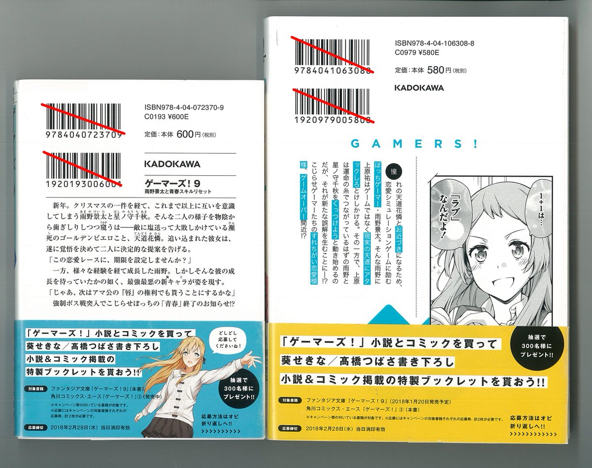 少年エース ゲーマーズ 小説 コミック同時攻略キャンペーン実施中 発売中のコミックス3巻と原作小説9巻を買って 葵せきな先生 髙橋つばさ先生書き下ろし小説 コミックス掲載の特製ブックレットを貰おう 詳細は対象書籍の帯をチェック 沢山