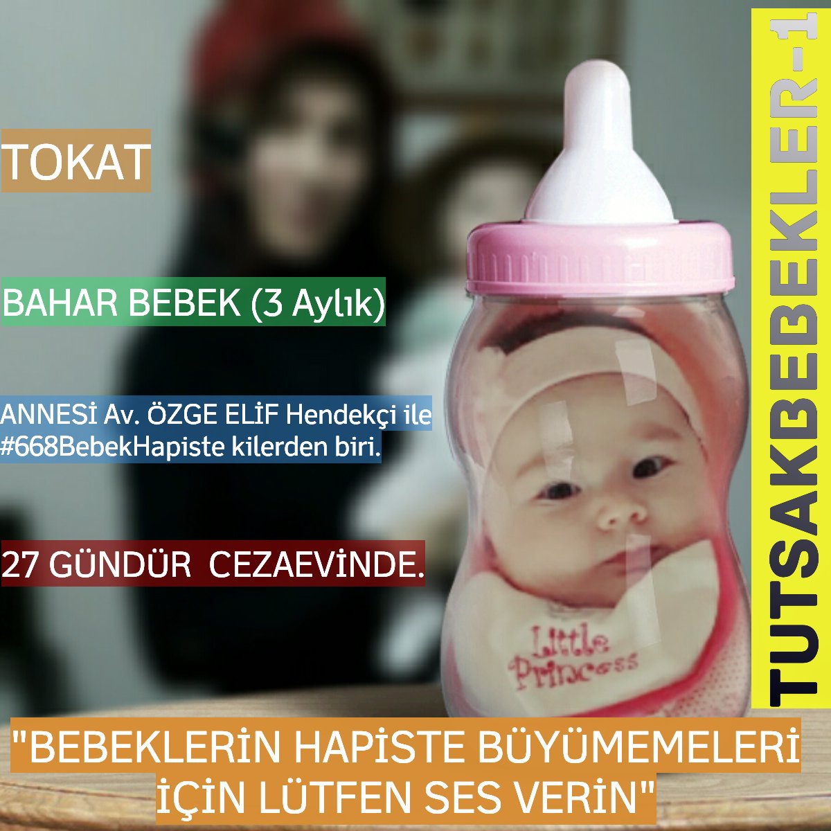 Murat Haznedar on Twitter "📌3 aylık bebek BAHAR Hendekçi 📌Annesi Av