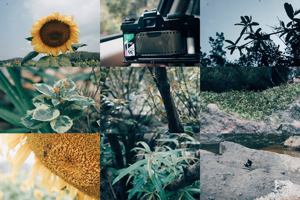 シロブルー tweet media