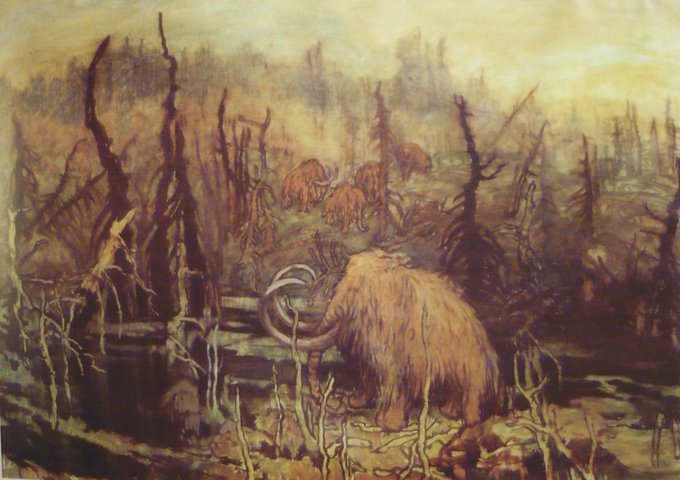 Ярослав панушка картины