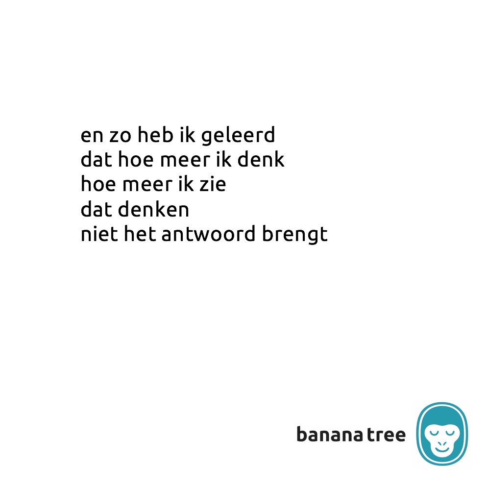 Laat dat herkauwen maar aan koeien over 🐄😄 #mindfulness #meditatie #inspiratie #energie #stress #vitaliteit #motivatie #rust #vrede #psychologie
