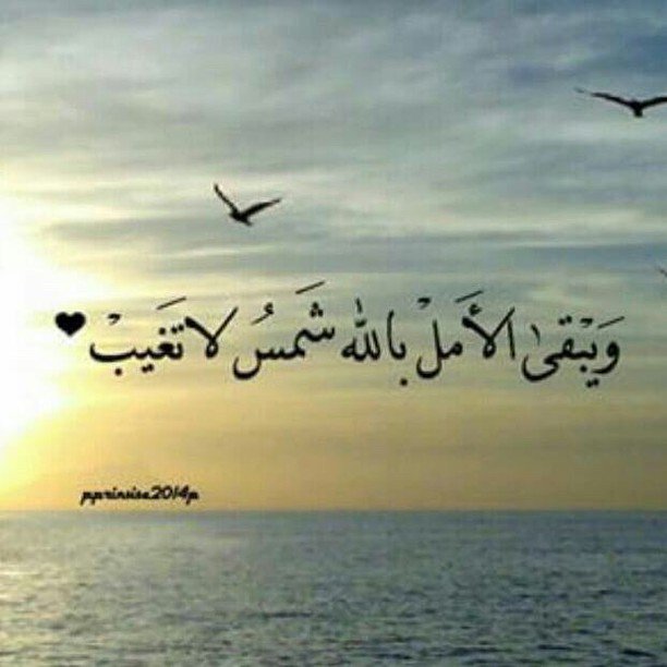 ابحث عن زوجه مسيار بالرياض جاد