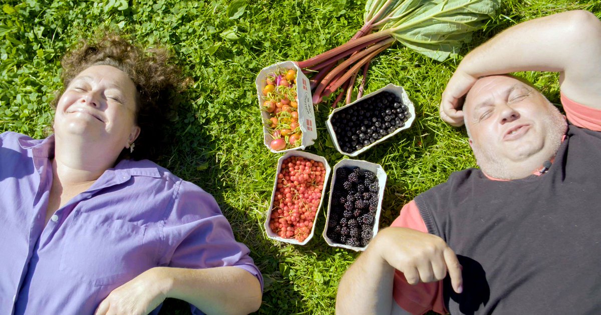 Ny programserie med Morten Lindberg og bl.a. Professor Smag og Louise Beck Brønnum @lubber02 finder ind til #smagen bag dansk #madkultur. DRK torsdag 20.30. ow.ly/pBBd30i3v4X #smagforlivet #brød #syltning #røgning #ost #dkfood #dkmad