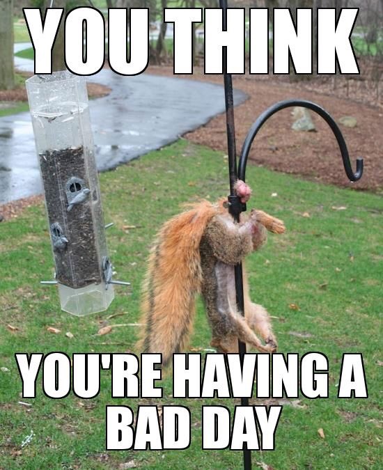 Stuie86's tweet photo. There’s always someone have a day worse than yours! #MondaysAreBrutal https://t.co/rlQcwuh4Eg