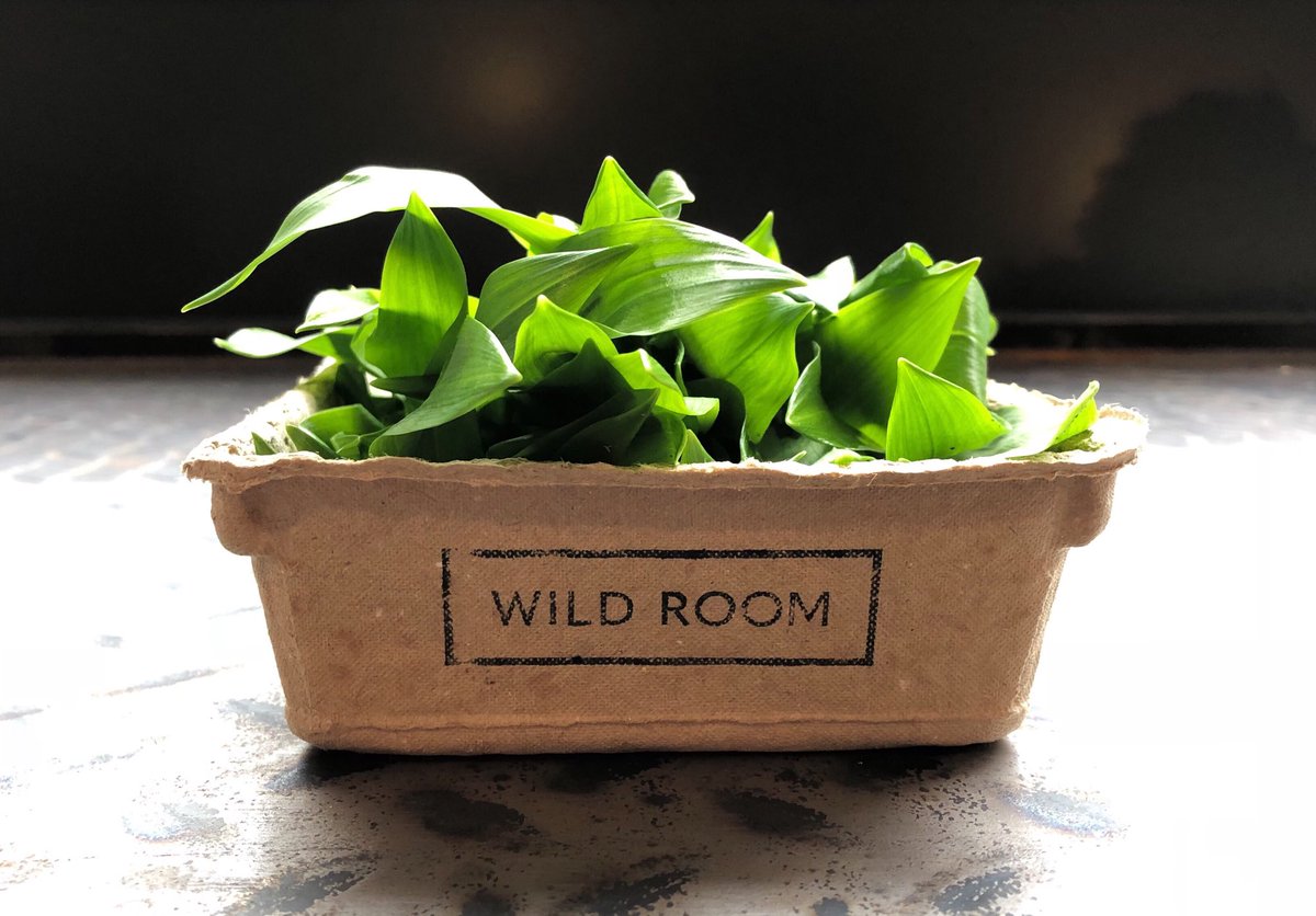 Almost there... #wildgarlic #newseason #incoming #getready