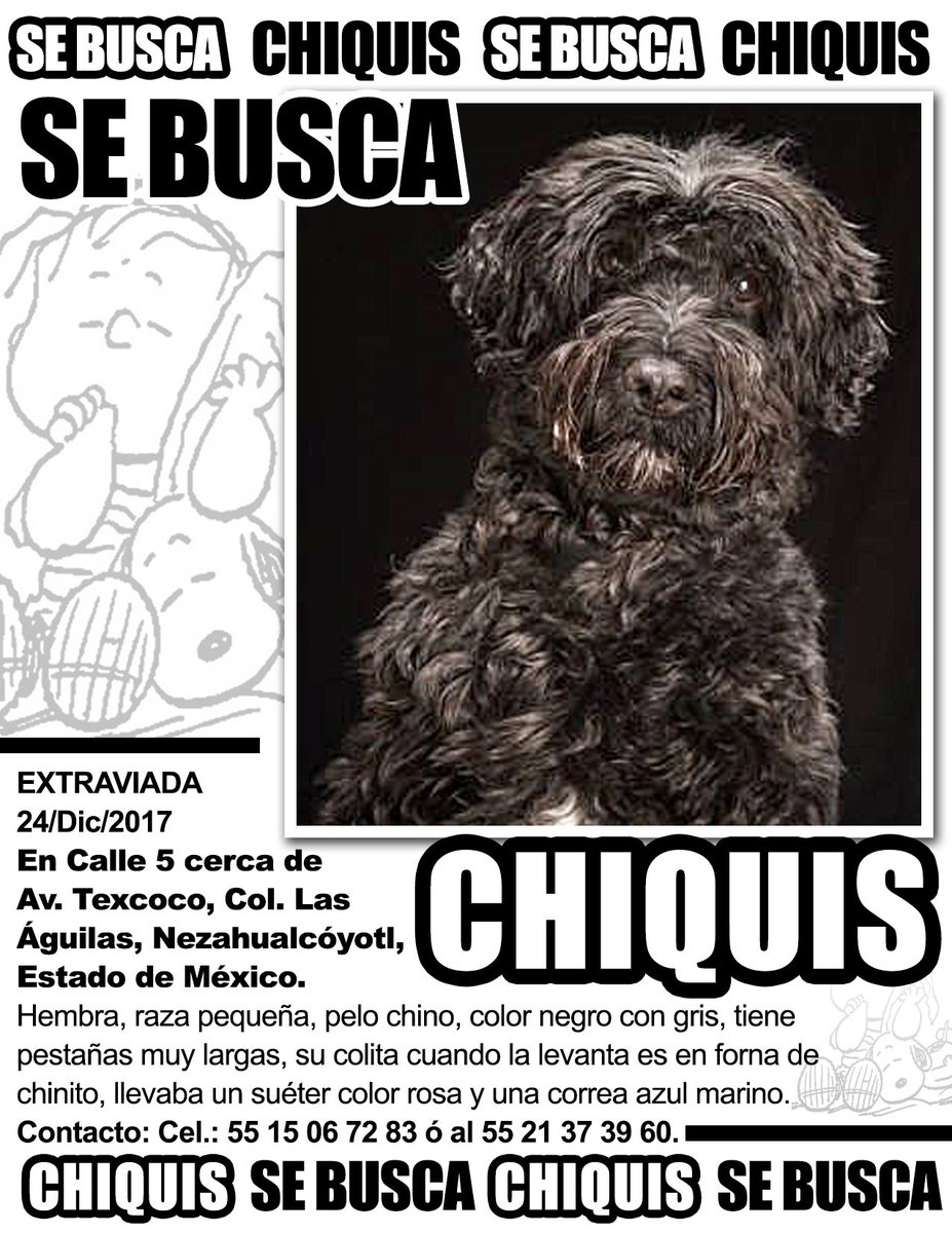 fellpudito's tweet photo. #AlertaMascota #Calle5 y #AvTexcoco Col #LasÁguilas #Nezahualcóyotl #EdoMéx Dic 2017 https://t.co/77ZsiYMGx1