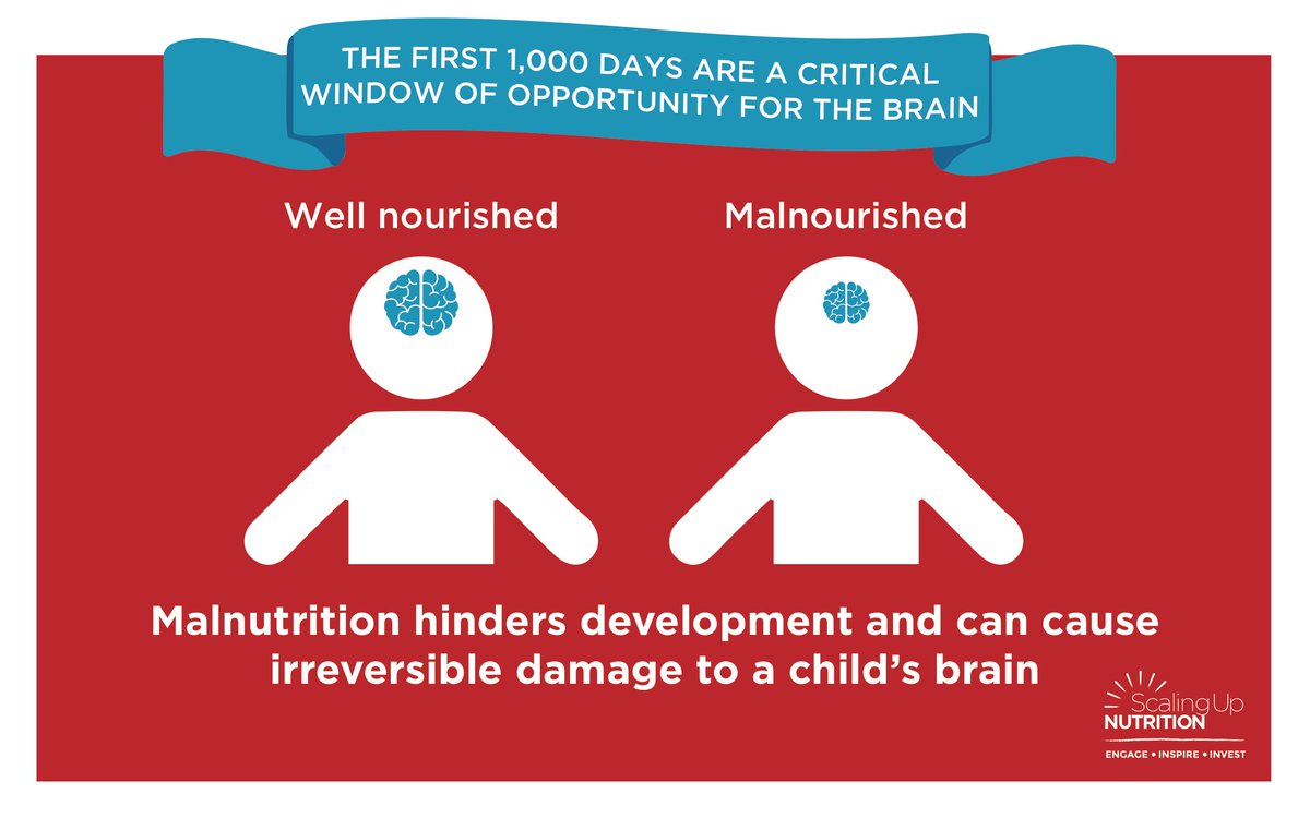 SUN_Movement's tweet photo. #Malnutrition = lost brainpower. We must #InvestinNutrition to unlock every child’s potential and boost national economies. The #LeadersforNutrition are ready to act! #ALN https://t.co/2oEGDn52sj