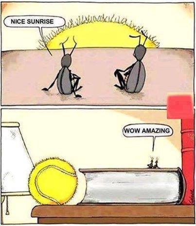seen_jokes's tweet photo. NICE SUNRISE https://t.co/zHZTSEfGiW https://t.co/BAYrHms9Dx