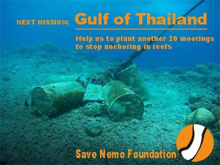 save_nemo's tweet image. #WEsaveNemo: Our next trip will start on Feb. 22th 2018 to protect nemos reefs in Thailand. Our crew is ready and we will plant another bunsh of moorings soon. Divers needed on site !
Read more: goo.gl/kRTj3T