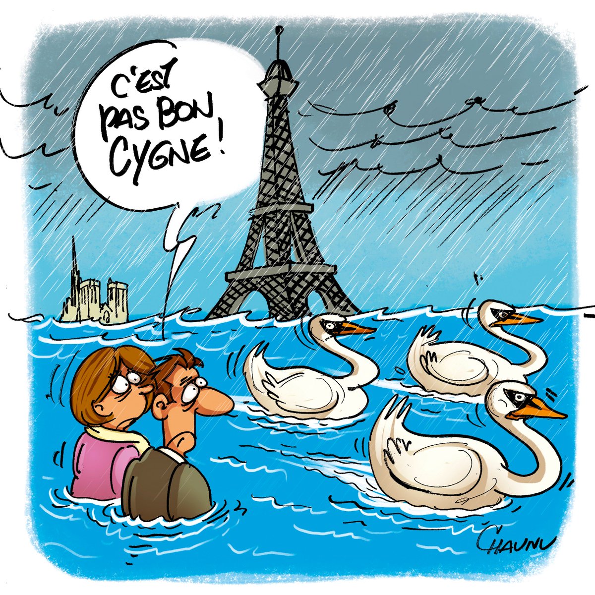 Paru dans @UnionArdennais : la #CrueSeine #Paris C'est pas bon cygne !