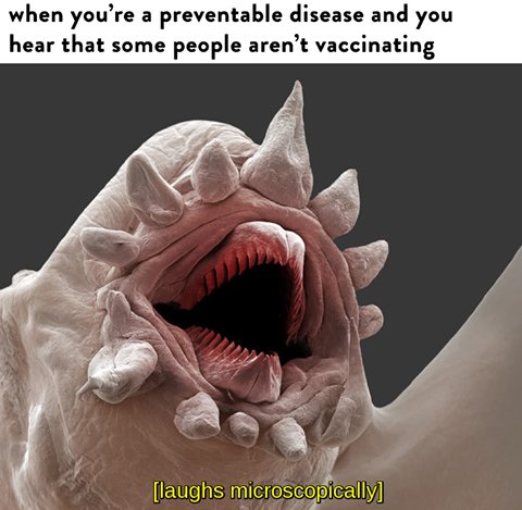 yourbuddyM's tweet photo. You: 🤢🤒😷🤕
Preventable Disease: ᴹᵁᵂᴬᴴᴬᴴᴬᴴᴬᴴᴬ

#yabangmedtek https://t.co/n0x4VCuozZ