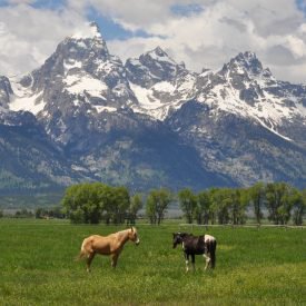 A Haven for Blockchain: The Case for Wyoming goo.gl/XAecJU #cryptocurrency
