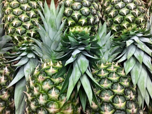 Global Fresh Trade tweet media