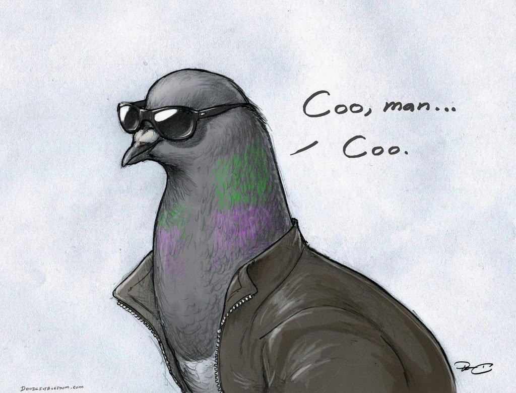 Essex Birds tweet media