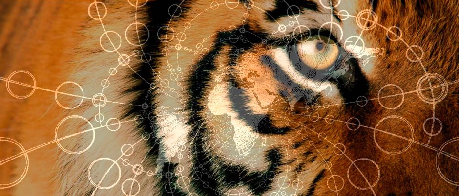 Can #blockchain serve business, people and planet?🌏 "Beyond #supplychain management, blockchain could be a game-changer in tackling numerous #sustainability challenges and driving change across all sectors." <a href="/WWF/">WWF</a> 

bit.ly/2nmPoNt