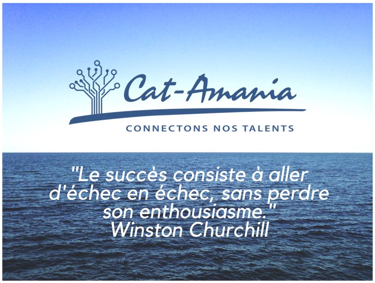 Cat Amania Il Ne Faut Pas Perdre Les Bonnes Habitudes Alors Voici Une Citation De Winston Churchill Qui On L Espere Vous Aidera Dans La Realisation De Vos Objectifs Citation Motivation