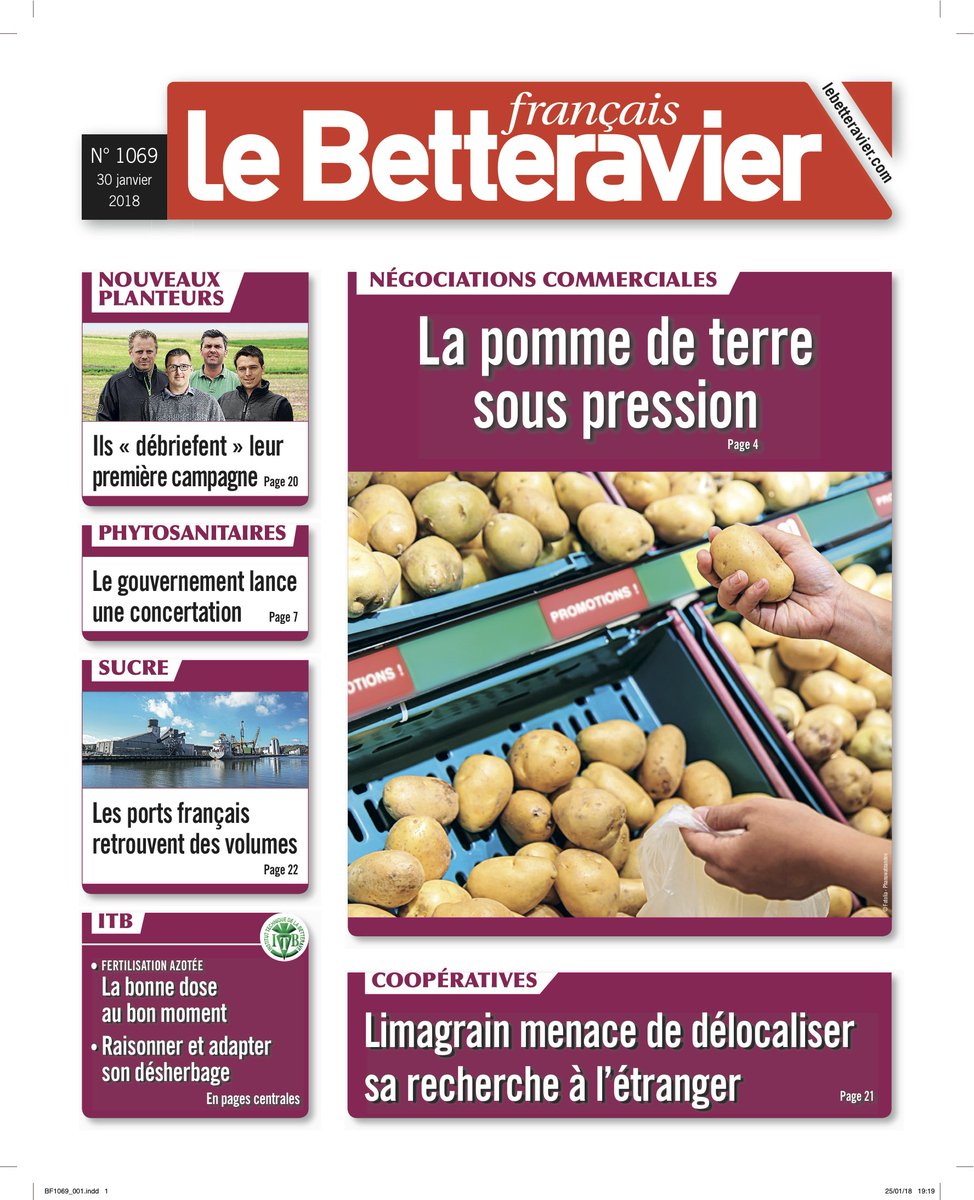 BETTERAVIER FRANCAIS