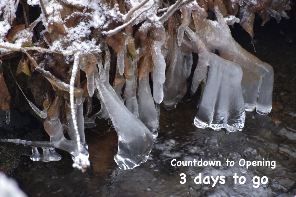 Remember.  Dawyck Botanic Garden reopens on 1st February #BotanicGarden #ScottishBorders <a href="/Dawyck/">Dawyck Botanic Garden</a> <a href="/TheBotanics/">Royal Botanic Garden Edinburgh</a>