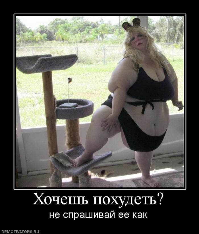 Веселые Картинки Для Похудения.