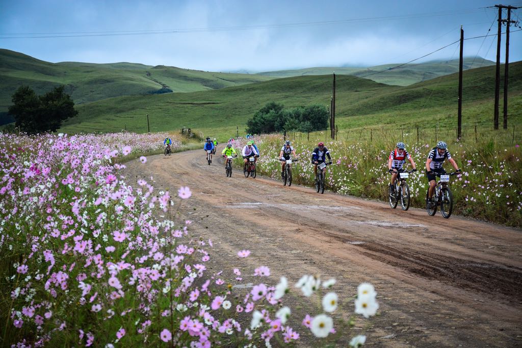 Andrew Hill tweet media