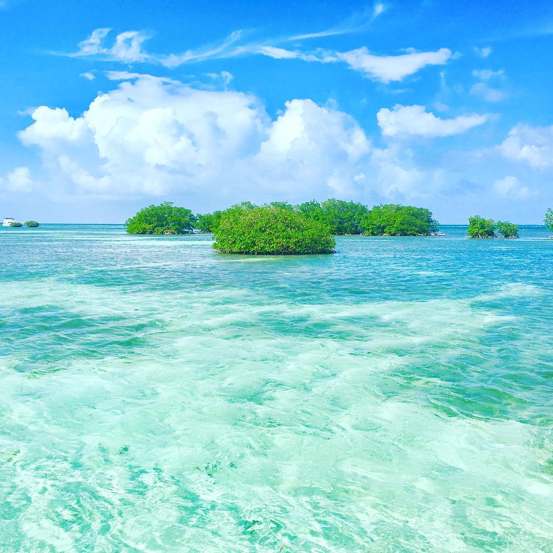 L'eau du Grand cul-de-sac Marin est-elle assez bleue pour vous ? 💙
📸 {via Instagram} ricou33160